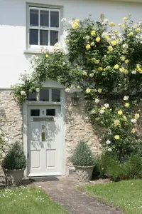 Stampe di Una casa con rose intorno alla porta nel villaggio di Haddenham Buckinghamshire Immagini datate 2006: Haddenham