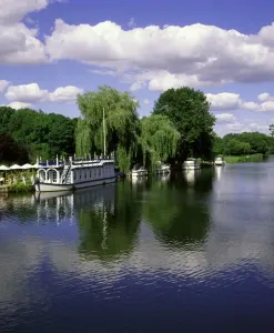 Fiume Tamigi Stampe: Fiume Tamigi