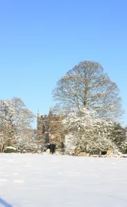 Alberi Stampe: Upper Slaughter