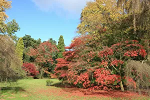 Westonbirt