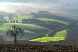 Stampe di Paesaggio rurale, Nebbia, Macerata, Marche, Italia, Europa Macerata Stampe: Countryside