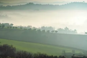 Stampe di Paesaggio rurale, Nebbia, Macerata, Marche, Italia, Europa Macerata Stampe: Countryside