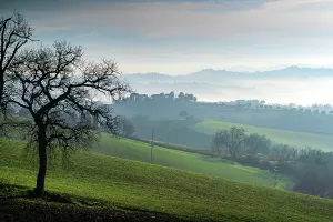 Stampe di Paesaggio rurale, Nebbia, Macerata, Marche, Italia, Europa Macerata Stampe: Countryside