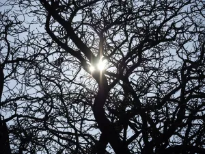 Oxfordshire Landscape Photography Stampe: Two suns