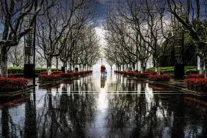 Natural Beauty Images Stampe: Walking in the rain