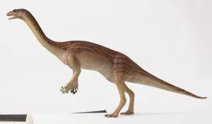 Prehistoric Animals Stampe: External features of a Anchisaurus