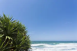 Australian Beach Views Stampe: Beach View