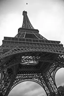 Eiffel Tower Photography Stampe: Eiffel Tower