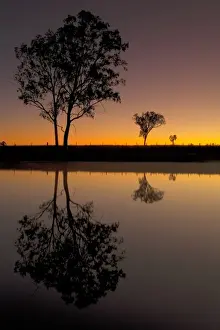 Australian Rural Landscape Stampe: Rural reflections