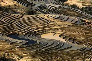 Yunnan Province Landscape Stampe: Bada Terrace pattern