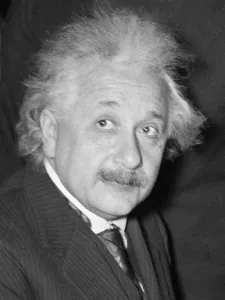 Albert Einstein Portrait Stampe: Albert Einstein