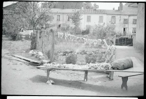 French Village Life Stampe: Drying and Sorting Wool