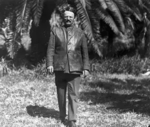 Leon Trotsky Stampe: Leon Trotsky