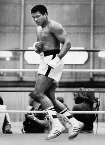 Atletico Stampe: Muhammad Ali in allenamento in un ring di pugilato.
