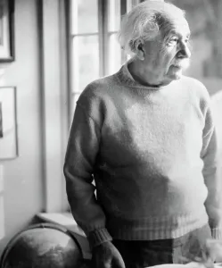 Albert Einstein Stampe: Physicist Albert Einstein