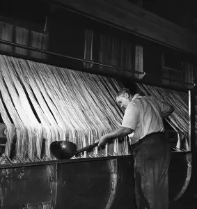 Textile Manufacturing Process Stampe: Processing Rayon
