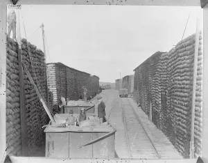 Farmers At Work Stampe: Stacking Wheat for Export