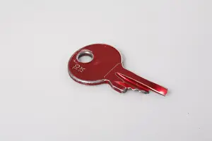 Closeup Photography Stampe: Broken key