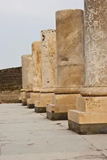 Fars Province Landmarks Stampe: Columns
