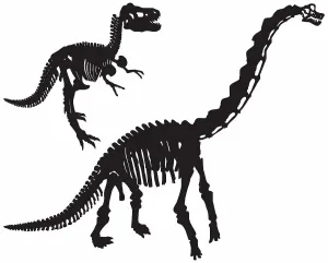 White Background Silhouette Stampe: Dinosaur Bones (Vector)