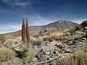 El Teide National Park Stampe: Dormant volcano