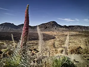 Nature Scenic Photography Stampe: Dormant volcano