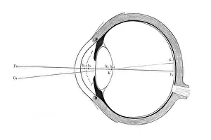 Stampe di Occhio, rappresentazione schematica Immagini del 12 marzo 2011: Occhio, rappresentazione schematica.