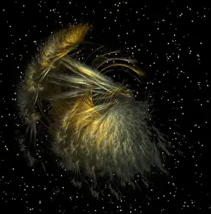 Fractal Art Stampe: Fractal object
