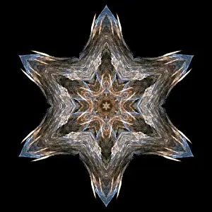 Computer Generated Graphics Stampe: Fractal object