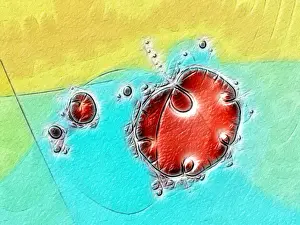 Fractal Geometry Stampe: Fractal object