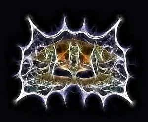 Computer Graphics Illustration Stampe: Fractal object