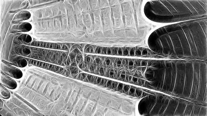 Computer Generated Graphics Stampe: Fractal object