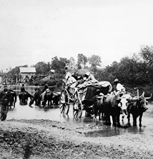 Civil War Images Stampe: Fugitives