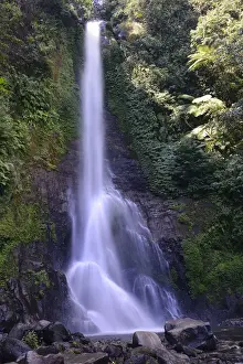 Bali Waterfalls Stampe: Great Gitgit Waterfall, Central Bali, Bali, Indonesia