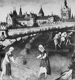 Agricultural Scene In Europe Stampe: Haymaking