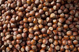Brown Food Photography Stampe: Hazel nuts, background