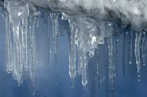 Cold Temperature Photography Stampe: Icicles
