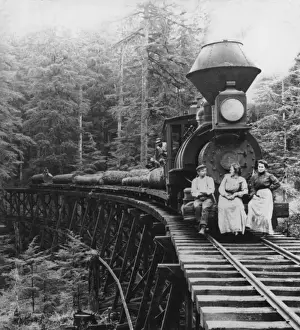 Cascade Mountains Landscape Stampe: Logging Train In Oregon