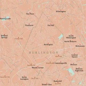 Massachusetts County Map Stampe: MA Middlesex Burlington Vector Road Map