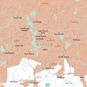Digitally Generated Cartography Stampe: MA Middlesex Natick Vector Road Map