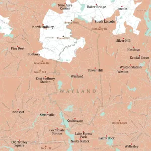 Vector City Maps USA Stampe: MA Middlesex Wayland Vector Road Map