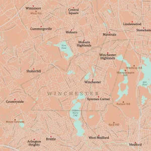 Massachusetts Vector Map Stampe: MA Middlesex Winchester Vector Road Map