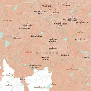 Public Domain Maps USA Stampe: MA Norfolk Needham Vector Road Map