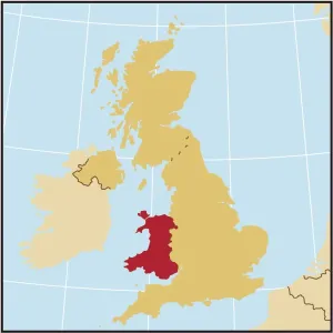 Vintage Maps Online Stampe: Reference Maps, 107960567
