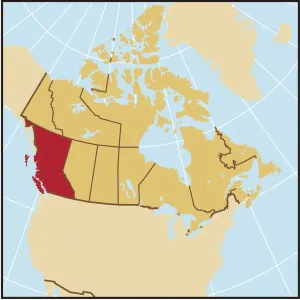 Large Format Maps Stampe: Reference Maps, 107960573