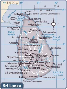 Custom Map Artwork Stampe: Reference Maps