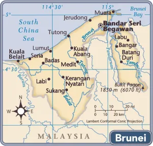 Decorative Wall Maps Stampe: Reference Maps