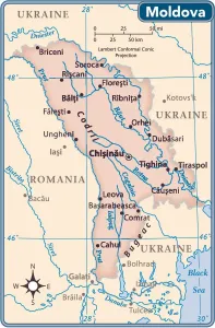 Vintage Style Maps Online Stampe: Reference Maps