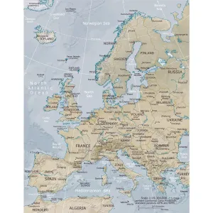 Antique Map Reproductions Stampe: Reference Maps