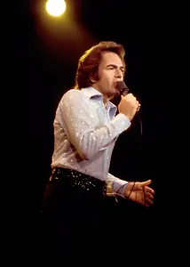 Singer Songwriter Style Stampe: Diamond Stud
